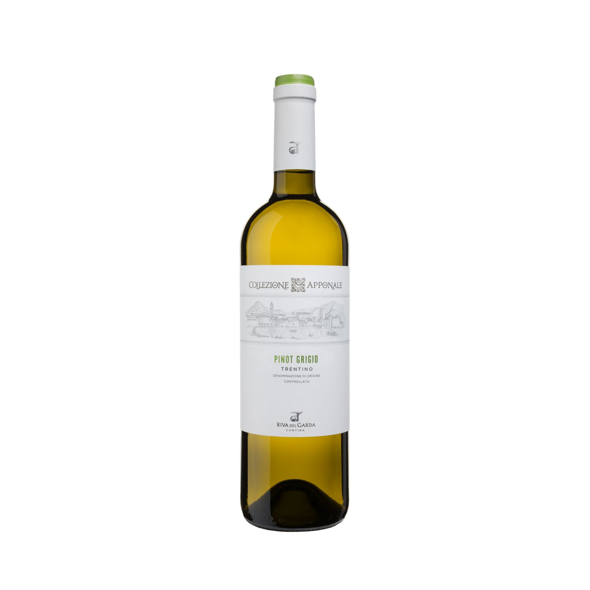 Pinot Grigio Trentino DOC | Agraria Riva del Garda - Trentino - Online Shop | Weißweine